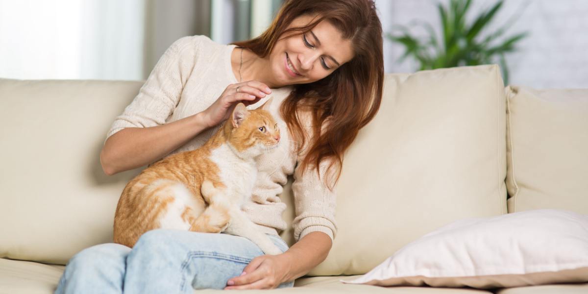 ¿Qué sofá comprar si tengo gatos?
